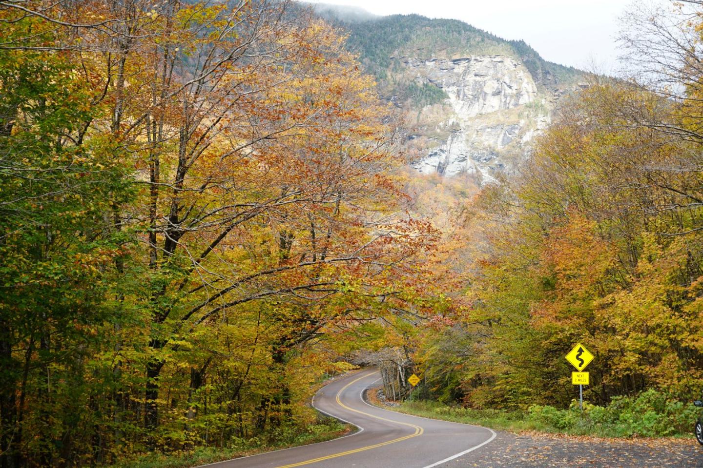 Curving road through autumn trees, mountains in background.