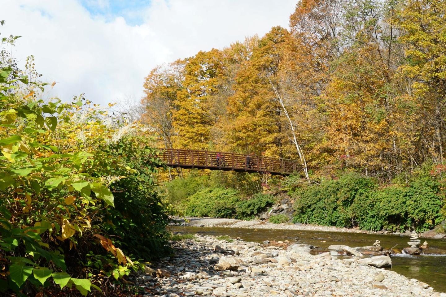 Autumn trees by a stream with a bridge in the background.