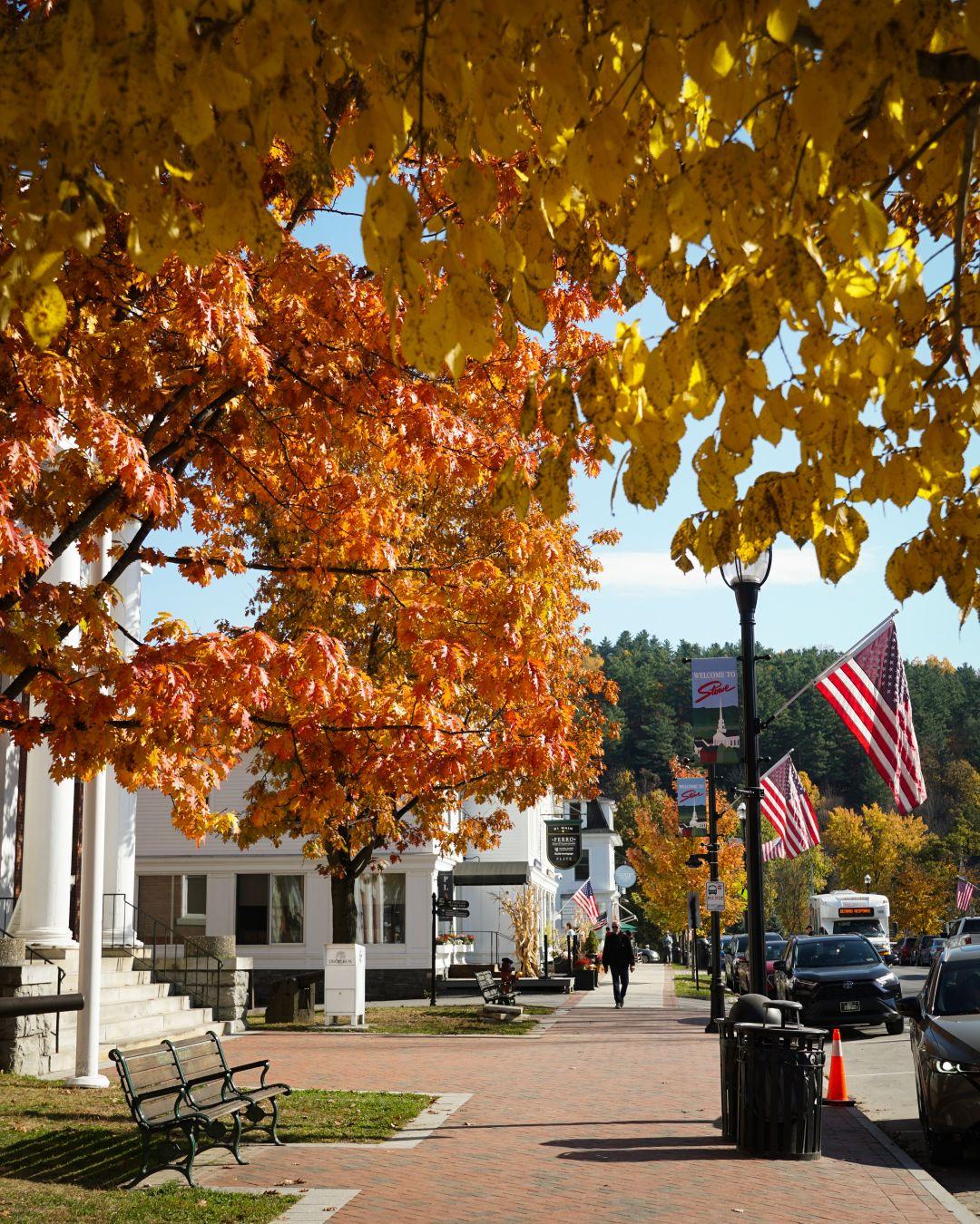 Tree-lined street with autumn leaves and American flags.