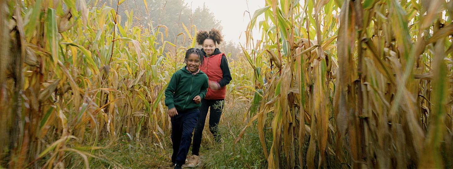 Children run joyfully through a cornfield under an overcast sky.
