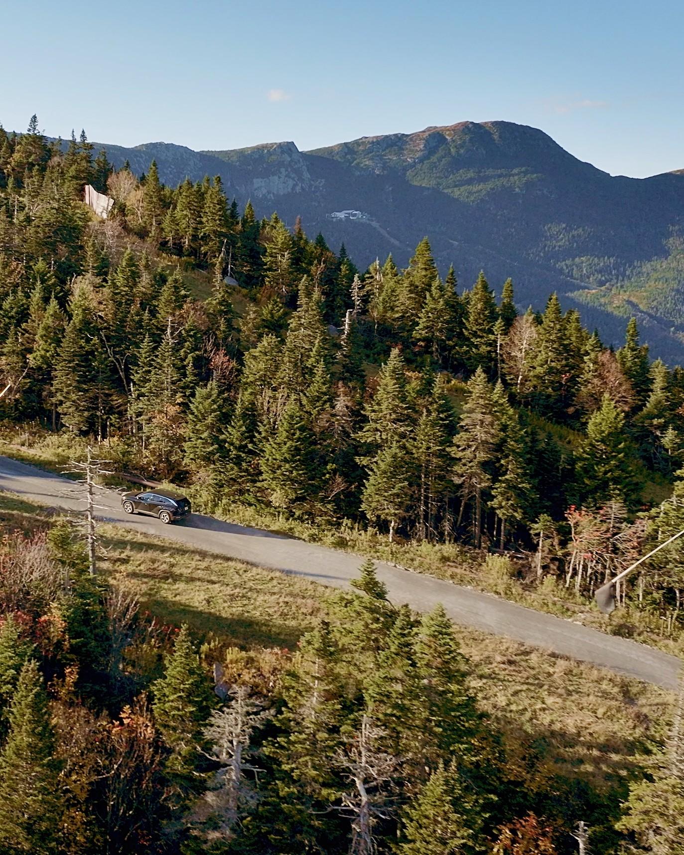 Mountain road winding through dense forest under a clear sky.