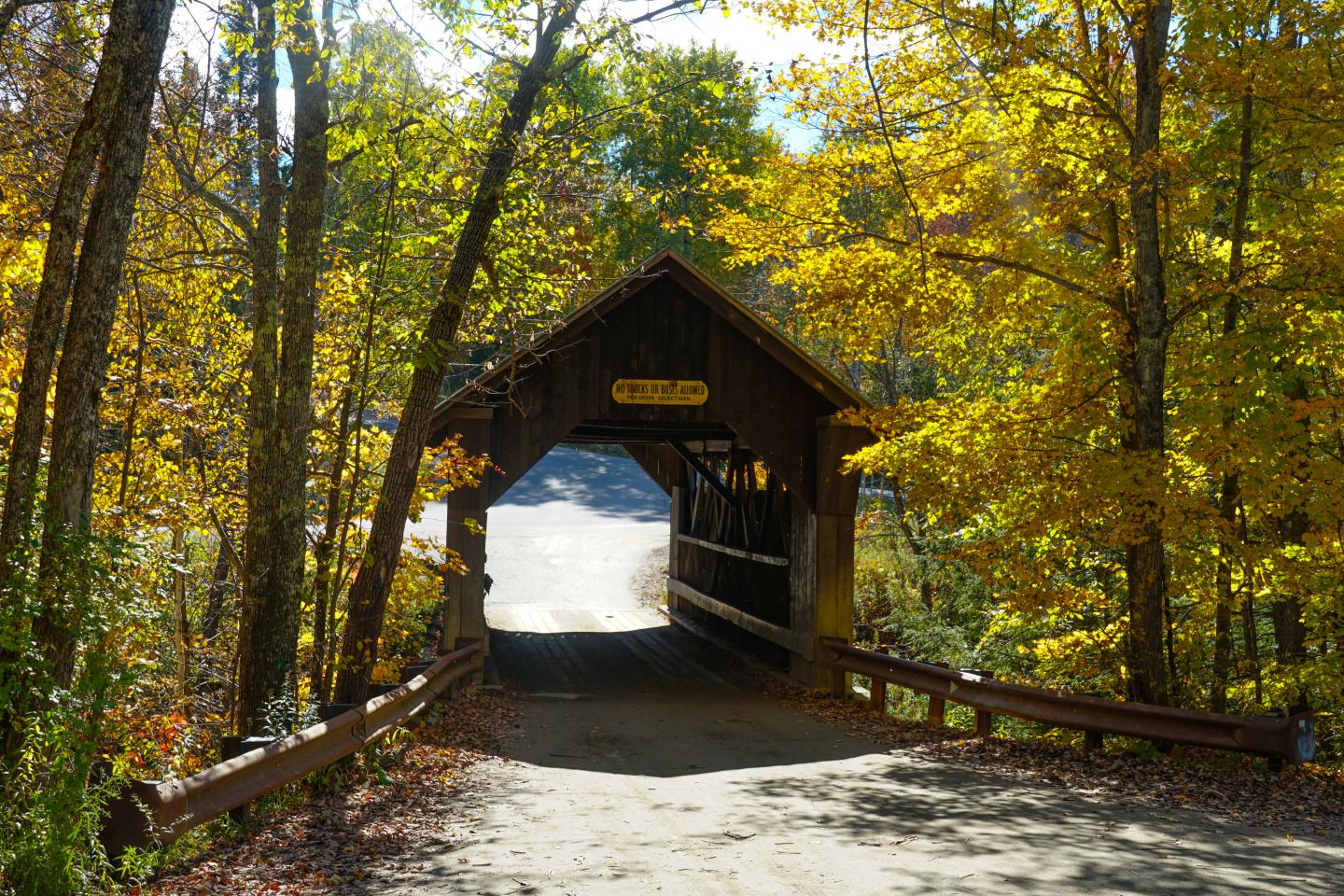 Wooden bridge surrounded by bright yellow autumn trees.
