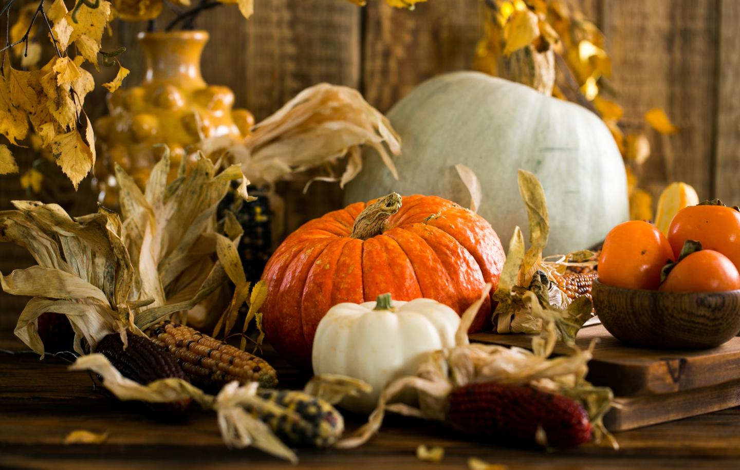 Autumn harvest scene with pumpkins and dried corn.
