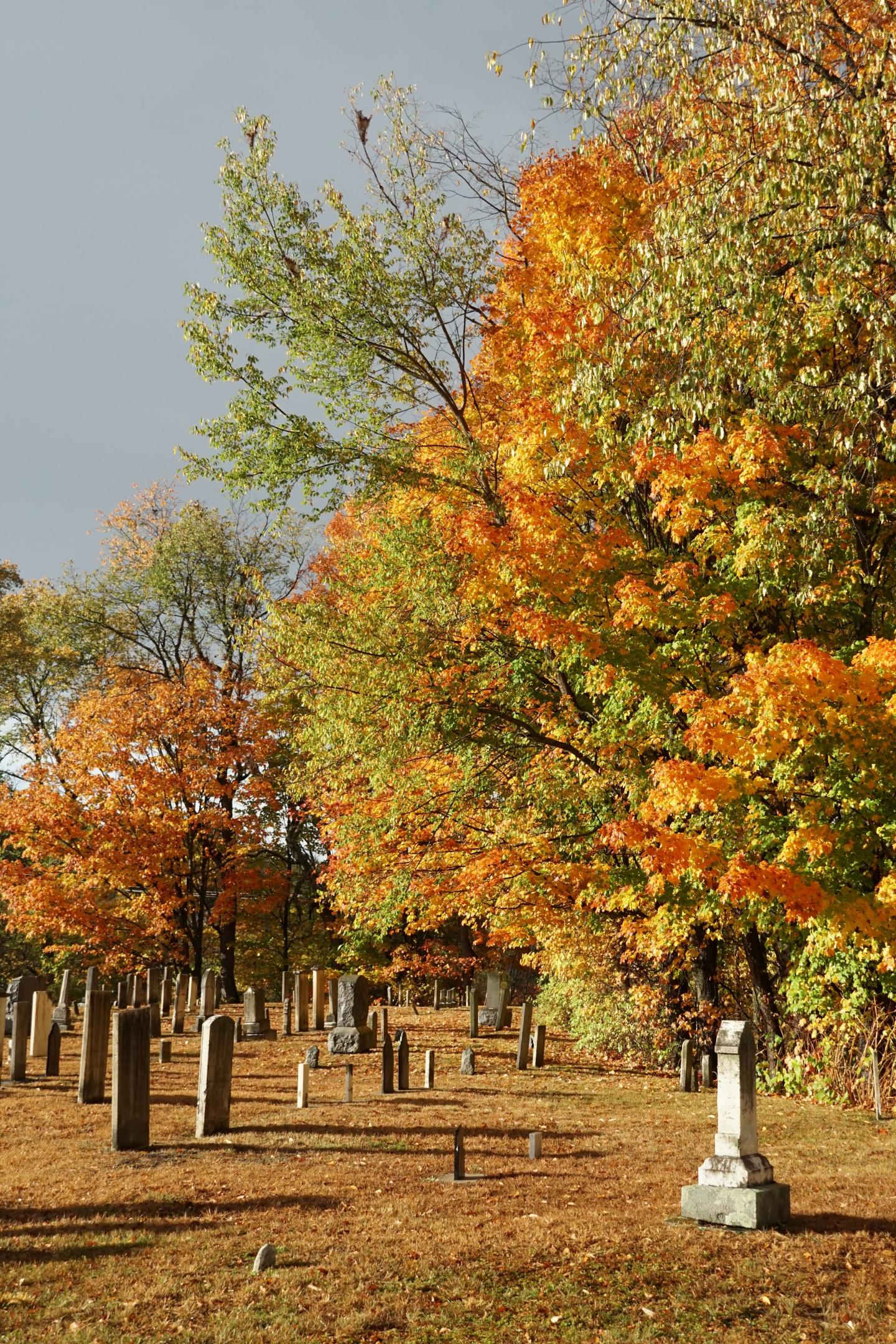 Autumn trees and tombstones in a cemetery under a gray sky.