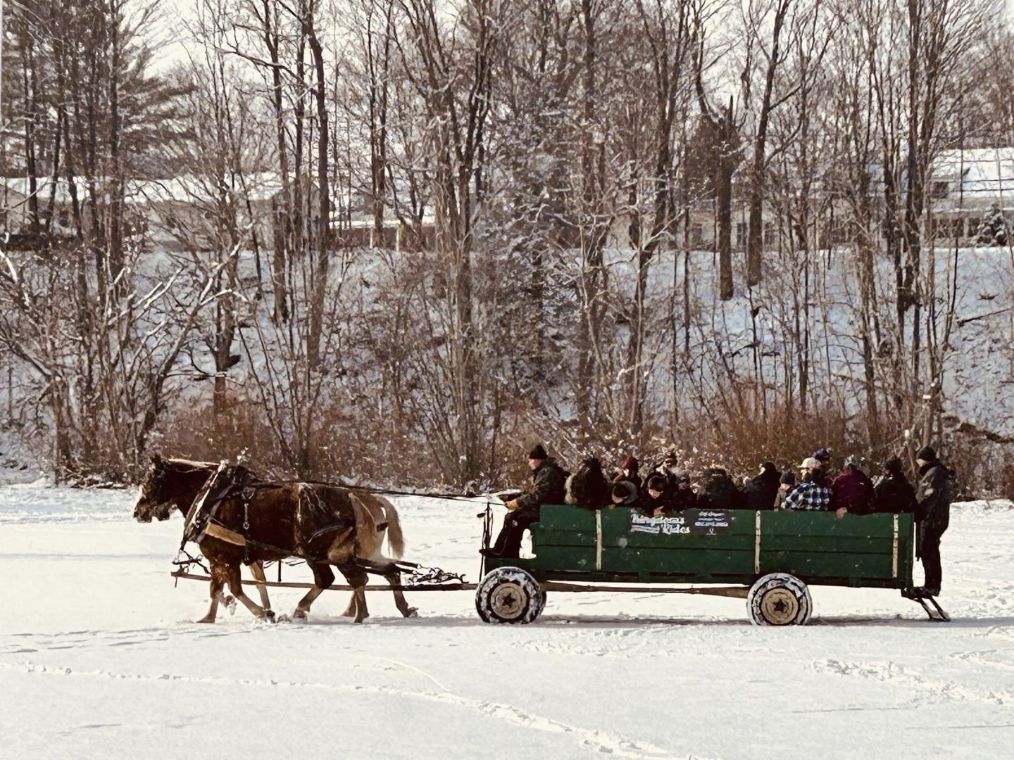Horse-drawn sled carrying people through a snowy landscape with bare trees.