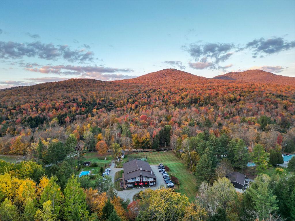 Aerial view of autumn trees and mountains at sunset.