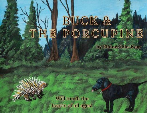 Porcupine and black dog face each other in a forest clearing.