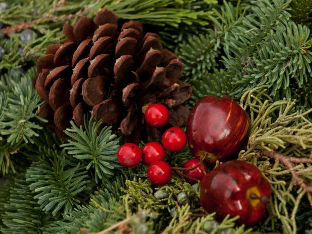 Pinecone and red berries on lush green fir branches.