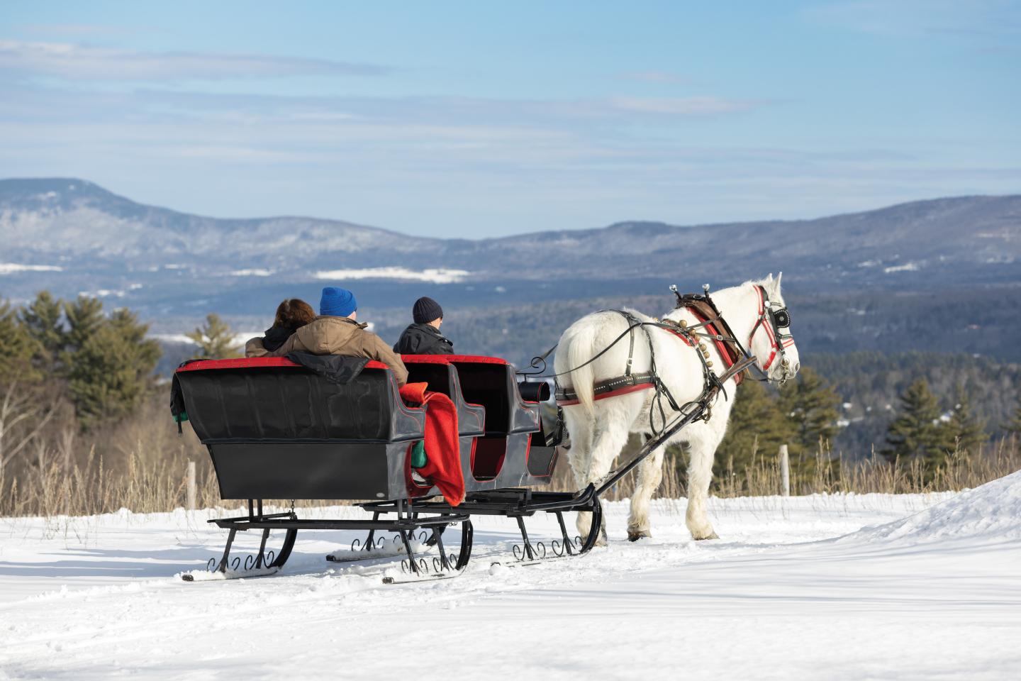 Horse-drawn sleigh with people in snowy landscape.