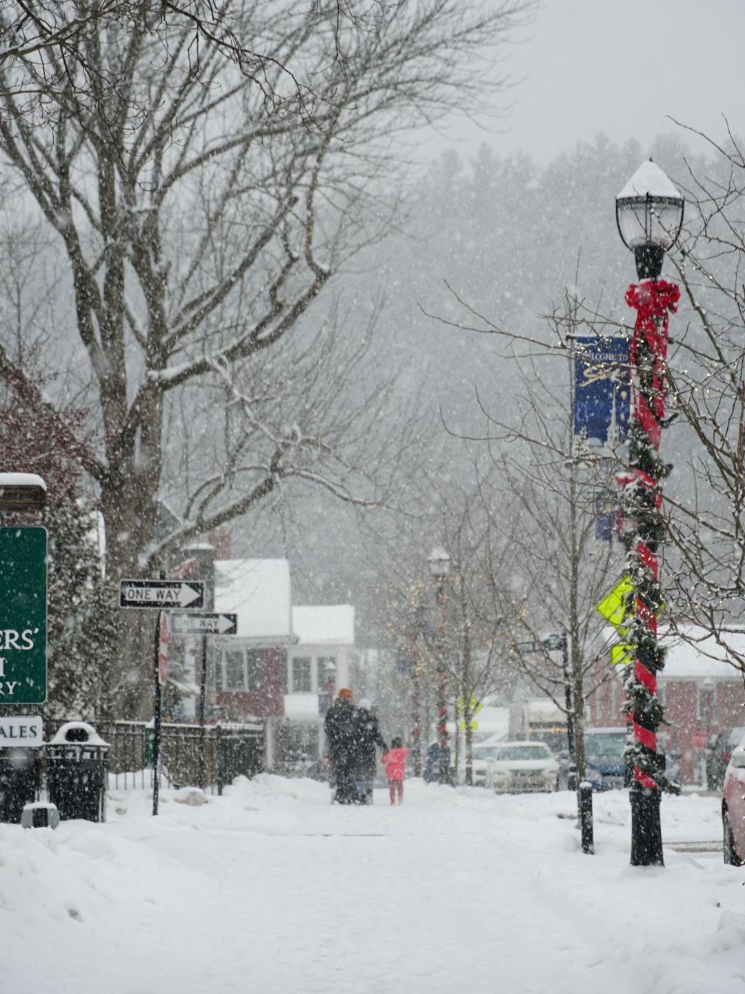 Snowy street scene with lampposts, snow-covered trees, and buildings.