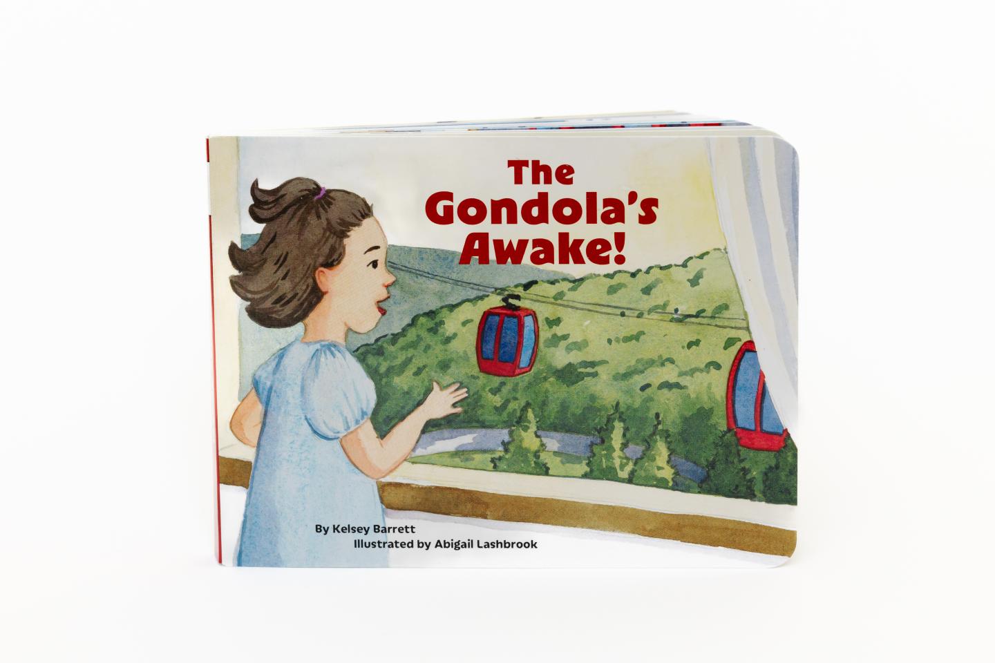 Child looking out window at gondola ride in mountains, book cover illustration.