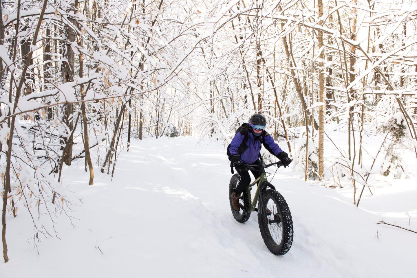 Cyclist rides a fat bike on a snowy forest trail.