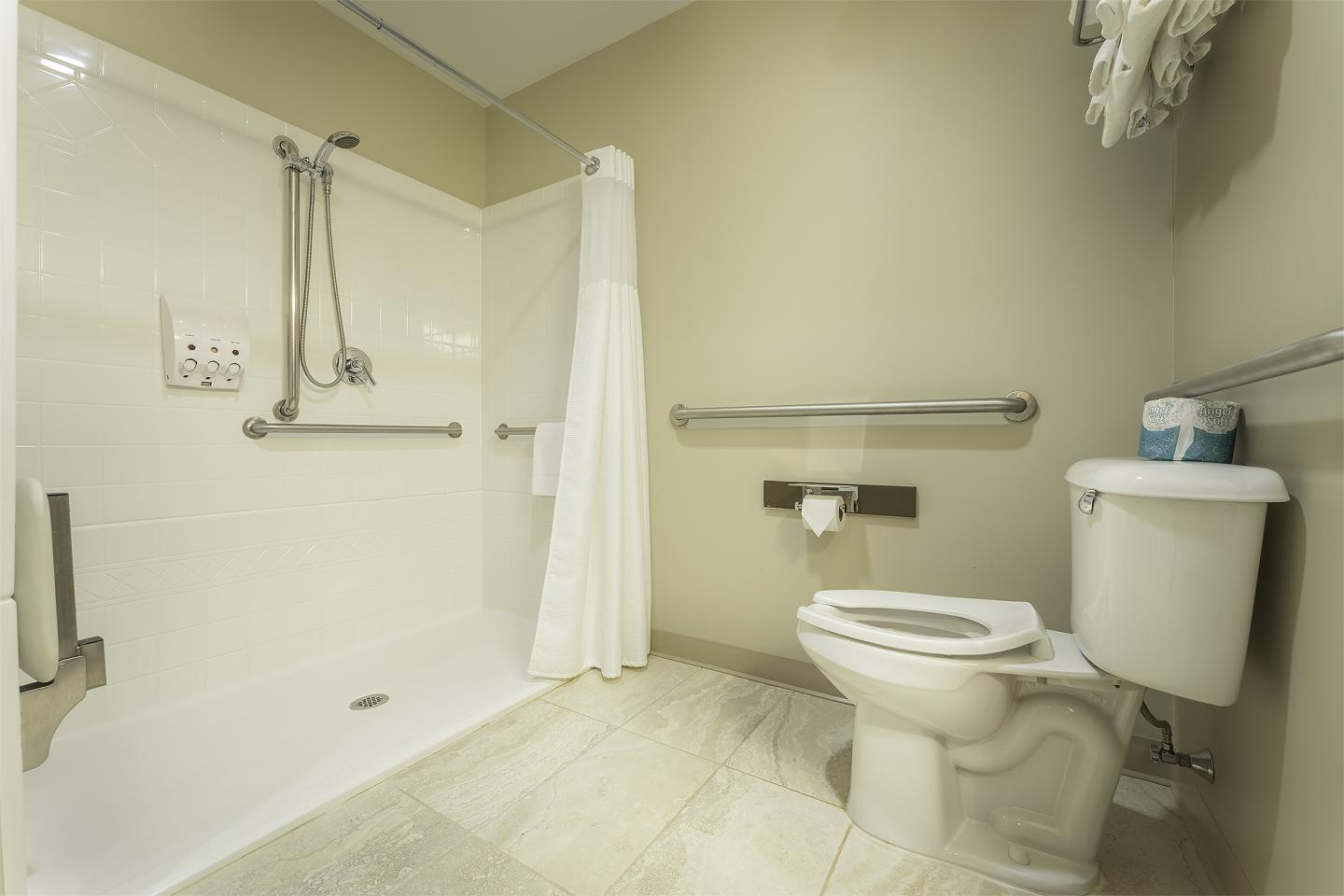 Accessible bathroom with shower, toilet, and grab bars.