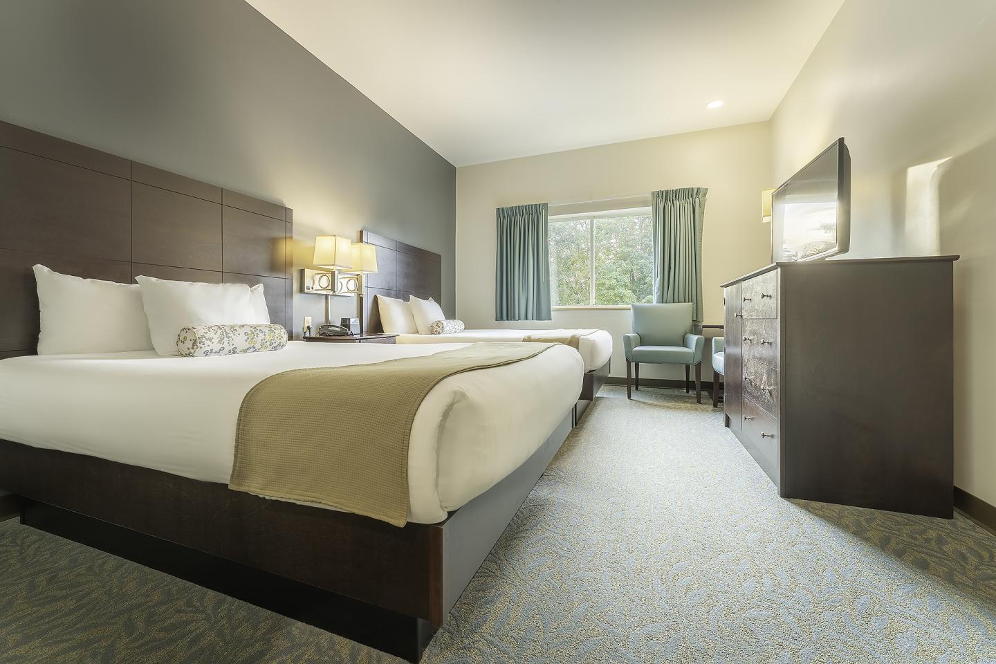 Two hotel beds in a bright room, TV, window with curtains, and bedside lamps.