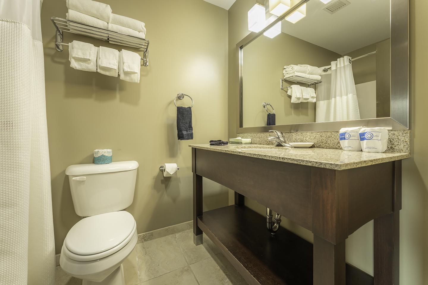 Bathroom with toilet, towels, large mirror, and granite countertop.