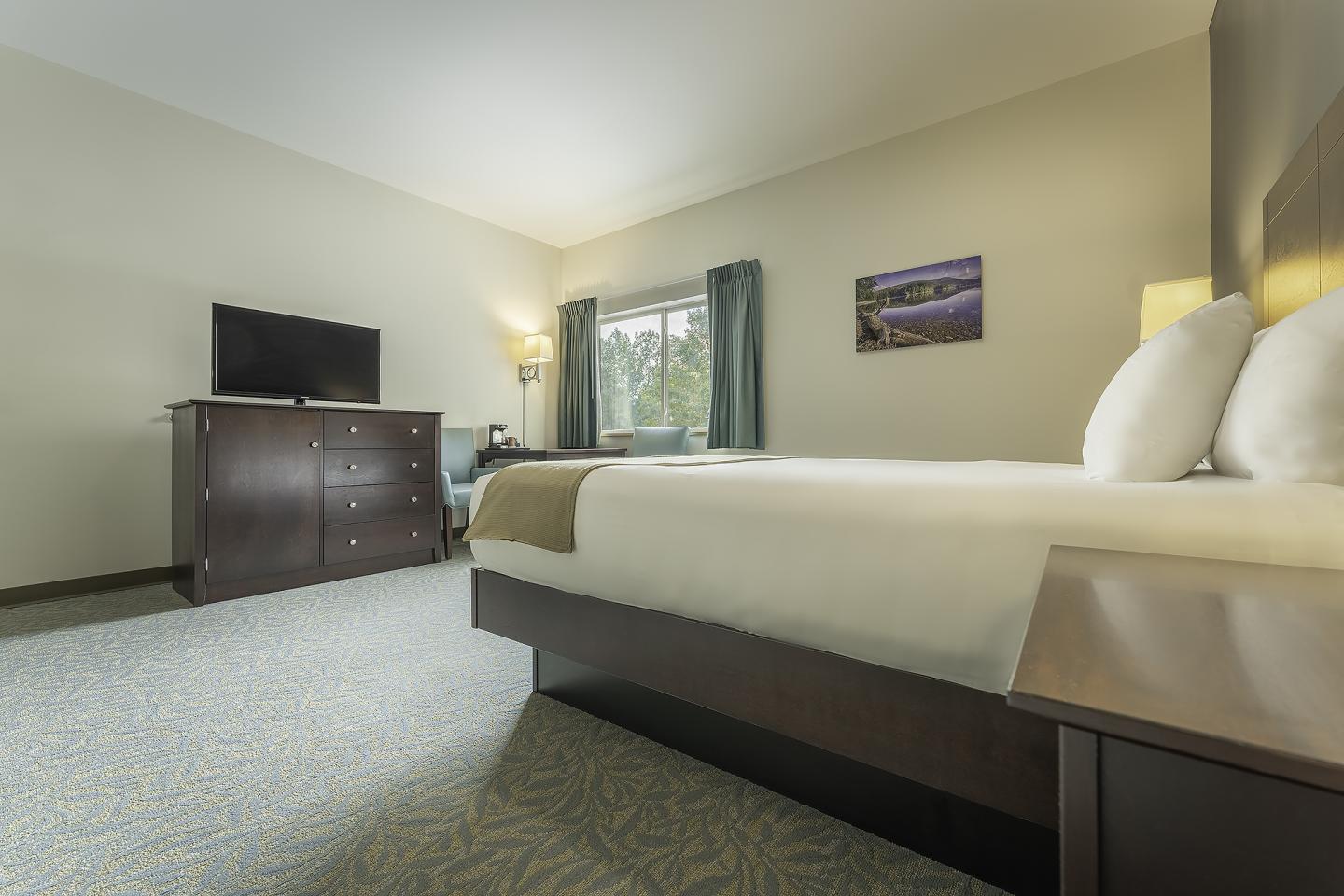 Hotel room with bed, TV, and window. Neutral tones and soft lighting.
