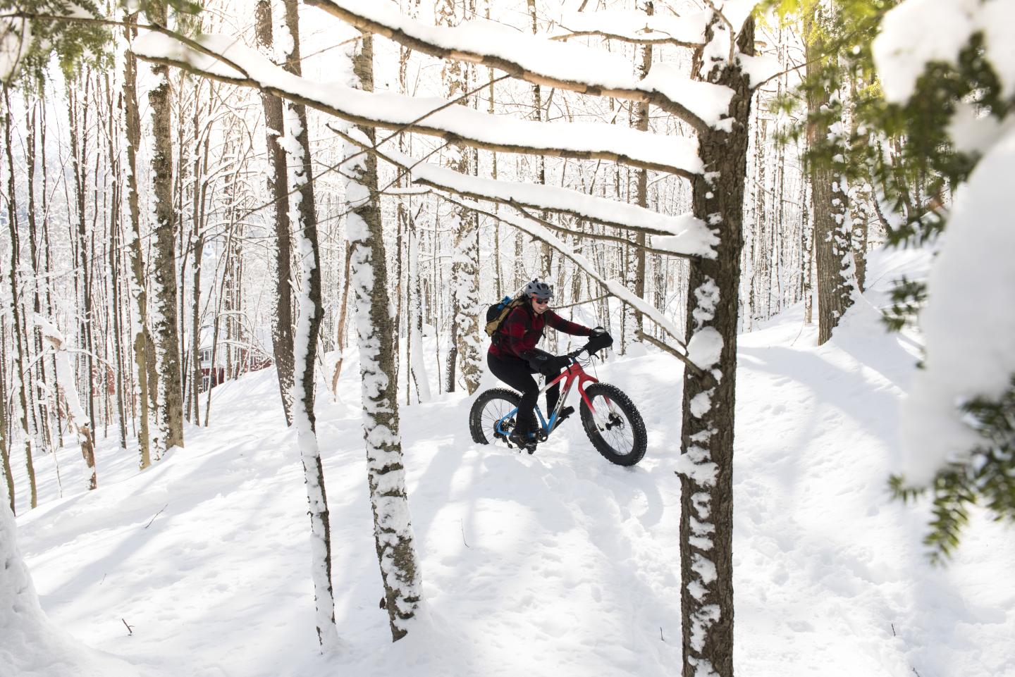 Cyclist riding a bike through snowy forest in winter.