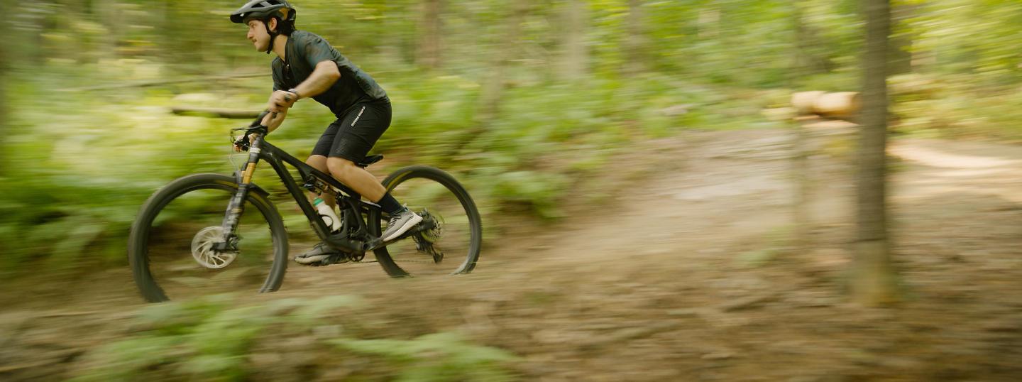 Cyclist rides a mountain bike on a forest trail, surrounded by green trees and ferns.