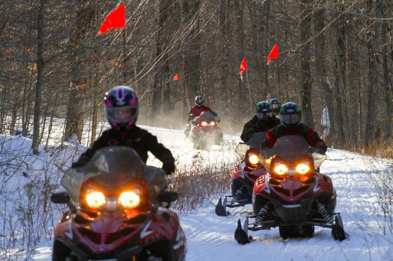 Snowmobilers ride through snowy woods, red flags attached.