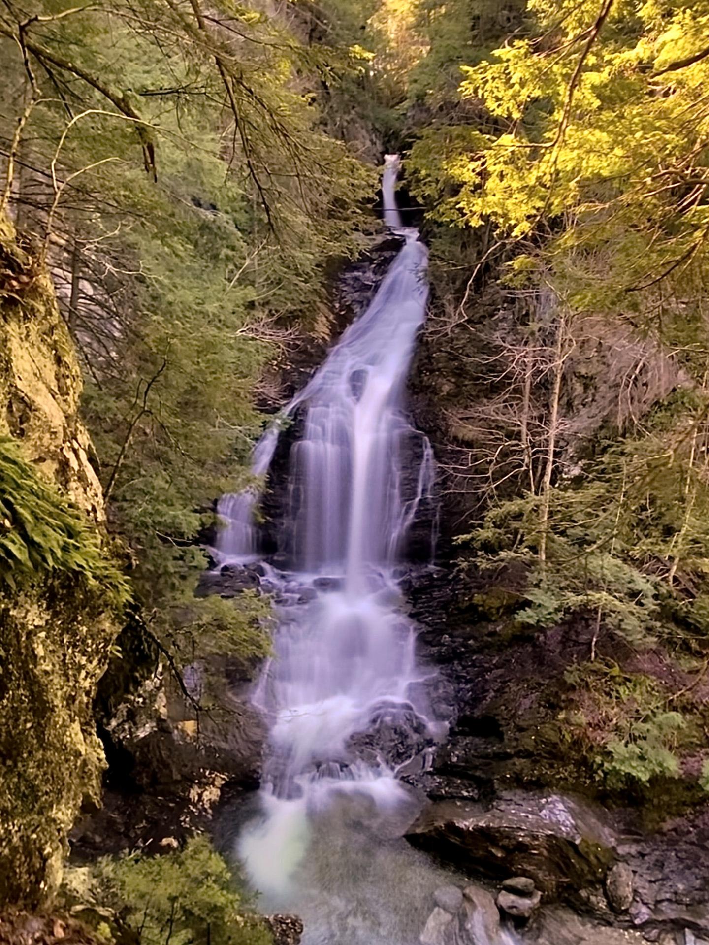 Waterfall cascading through lush forest with autumn leaves.