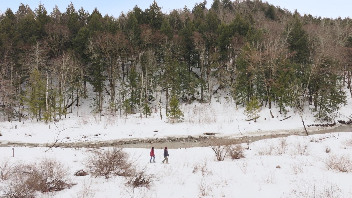 Snowy forest landscape with two people walking by a creek.