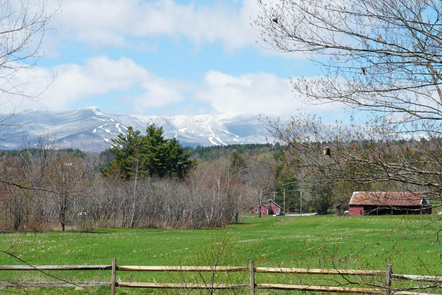 Snow-capped mountains under blue sky with green fields and bare trees in the foreground.