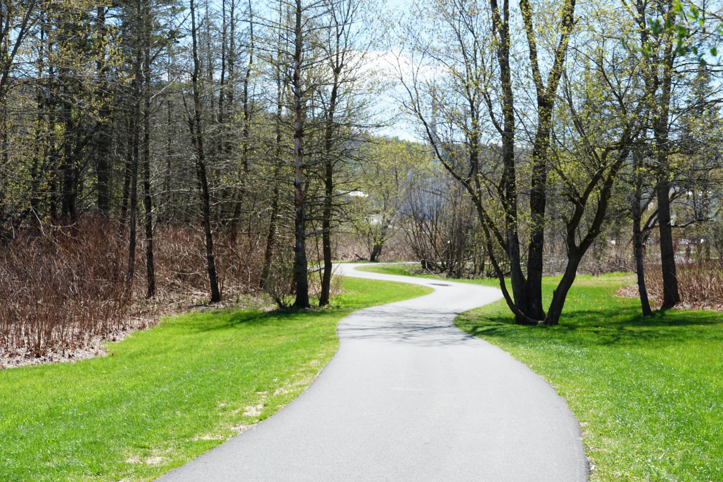 Curving path through a sunlit park with trees and grass.