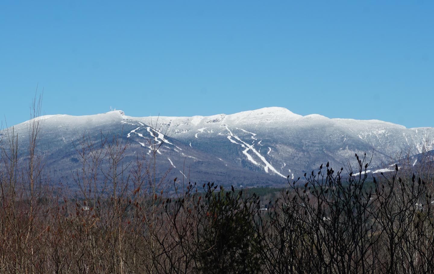 Snow-capped mountains under a clear blue sky with bare trees in the foreground.