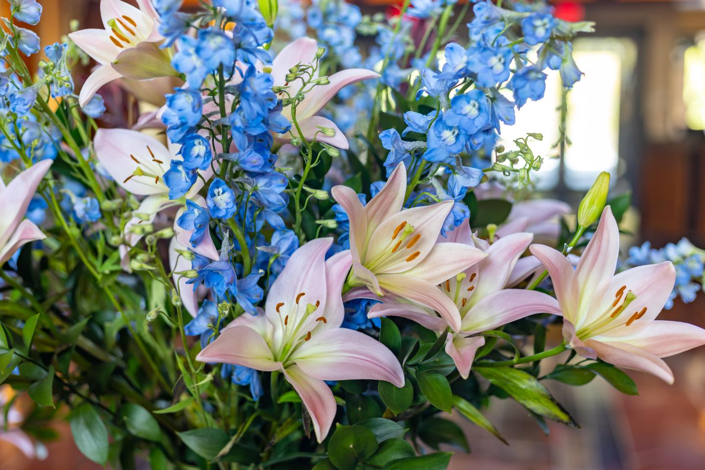 Pink lilies and blue flowers in a bright, indoor setting.