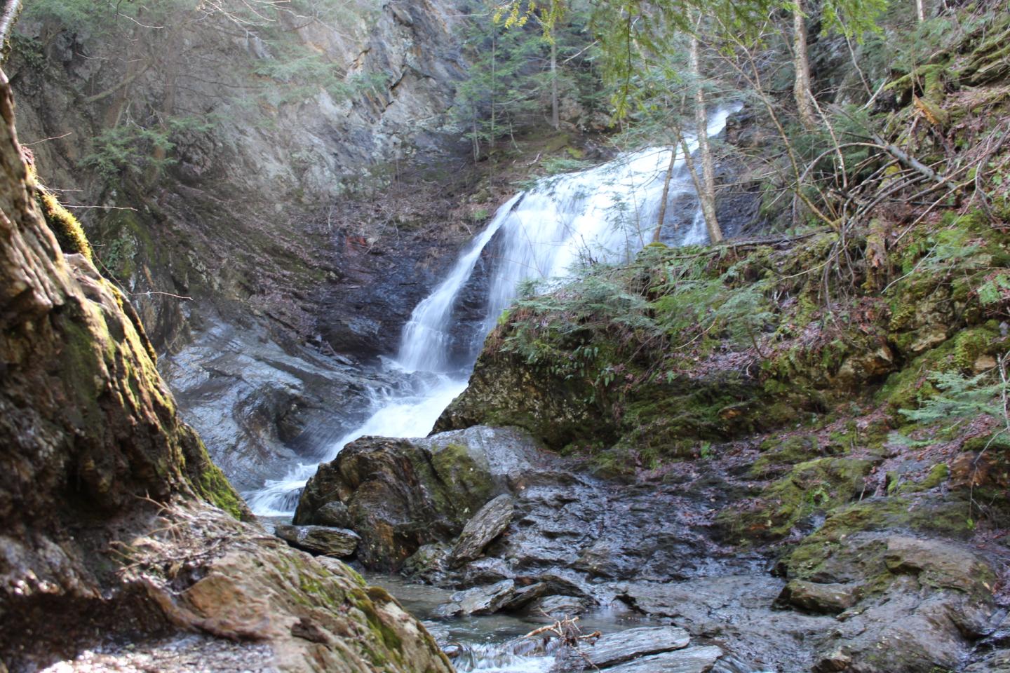 Waterfall cascading over rocks in a lush, green forest setting.