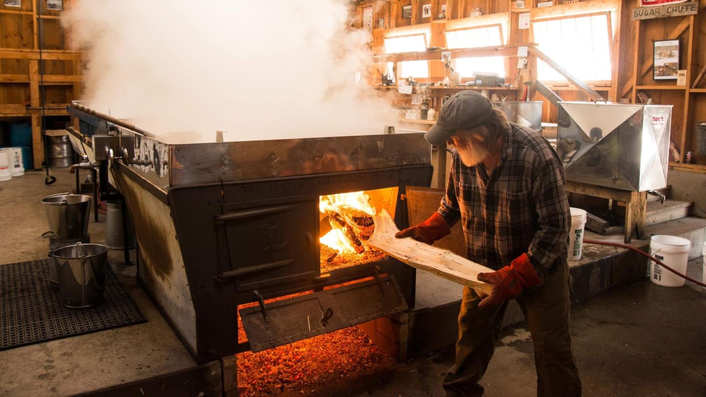 Worker stoking a fire in a large, steaming maple syrup evaporator.
