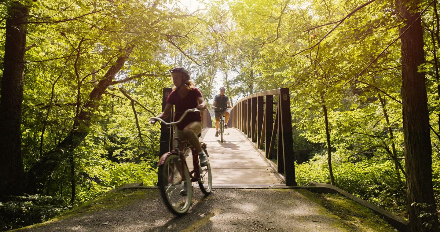 Cyclist crossing a sunlit bridge in a lush green forest.
