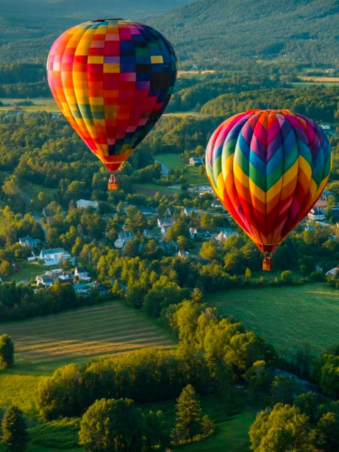 Two colorful hot air balloons over a green landscape.
