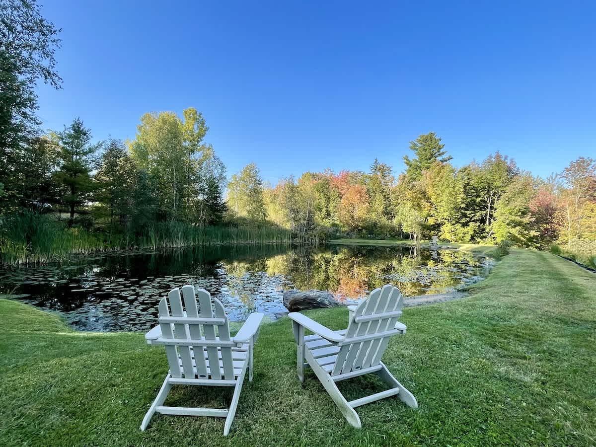 Two white chairs face a tranquil pond surrounded by trees under a clear blue sky.