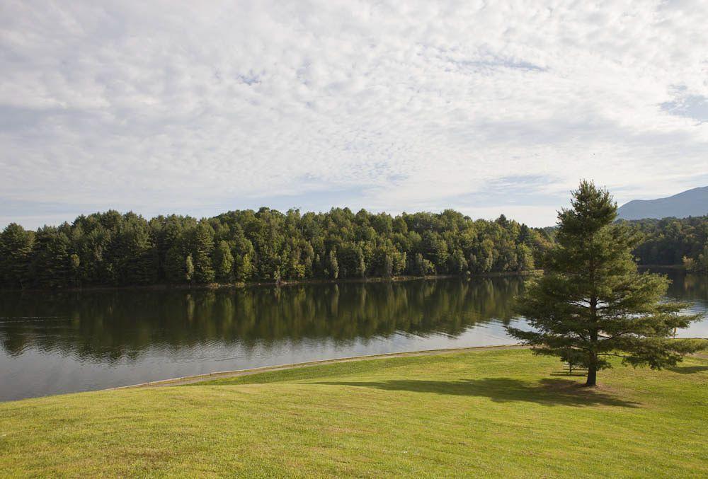 Waterbury Reservoir Lake with trees in background, grassy shore, and a single tree on right.