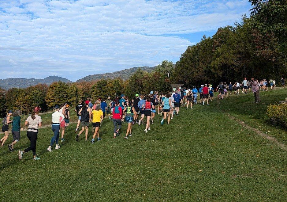Runners jogging on a grassy trail under a clear blue sky.