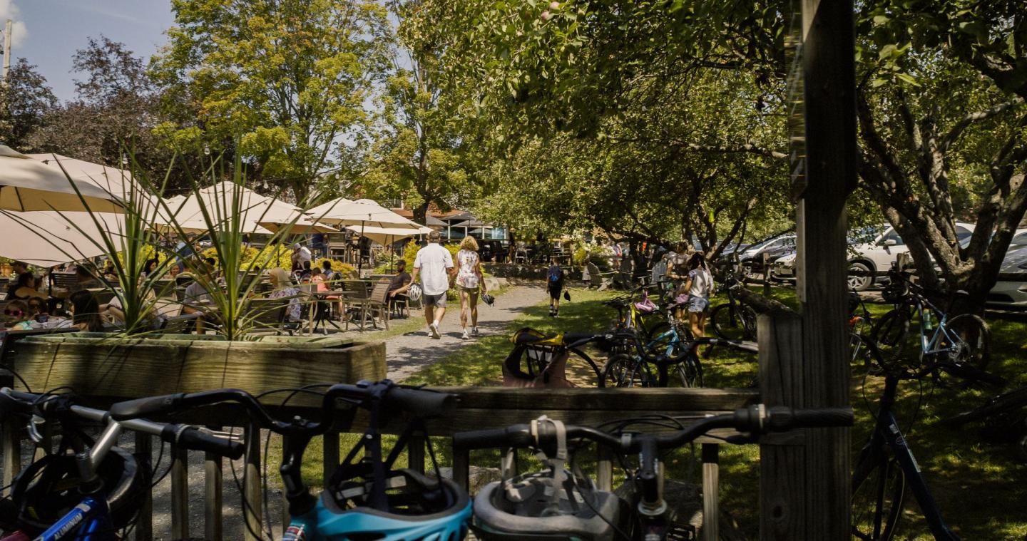 Outdoor cafe with people dining under umbrellas, surrounded by trees and parked bicycles.