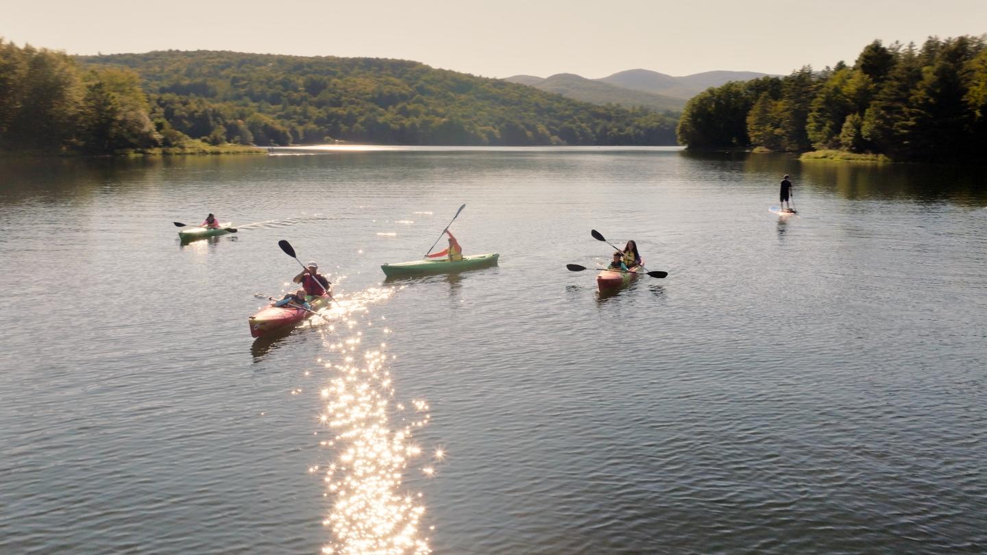 Kayakers paddling on a sunny lake surrounded by trees.