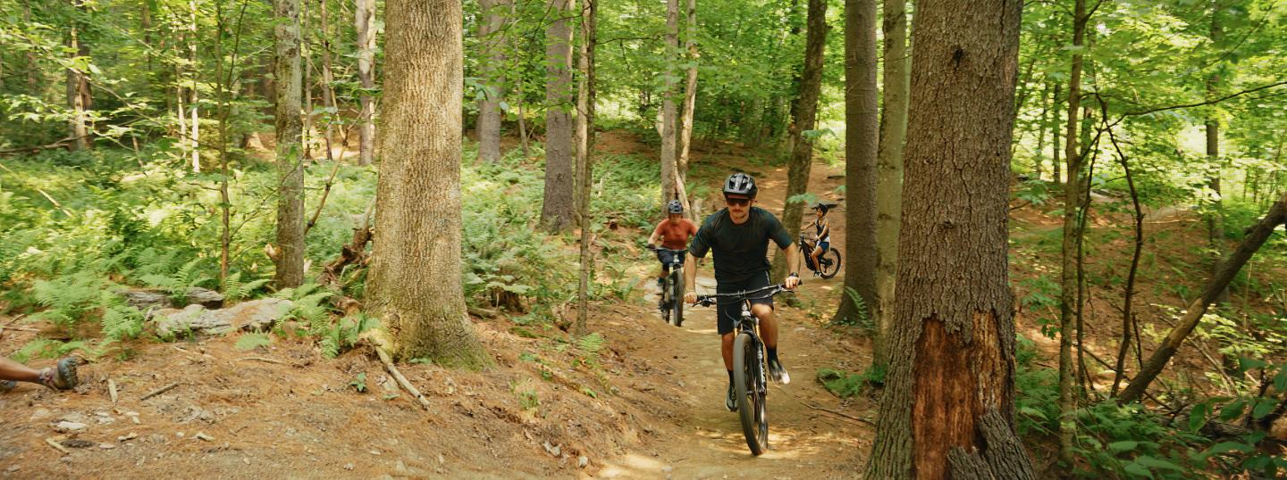 Cyclists riding on a forest trail surrounded by lush green trees.