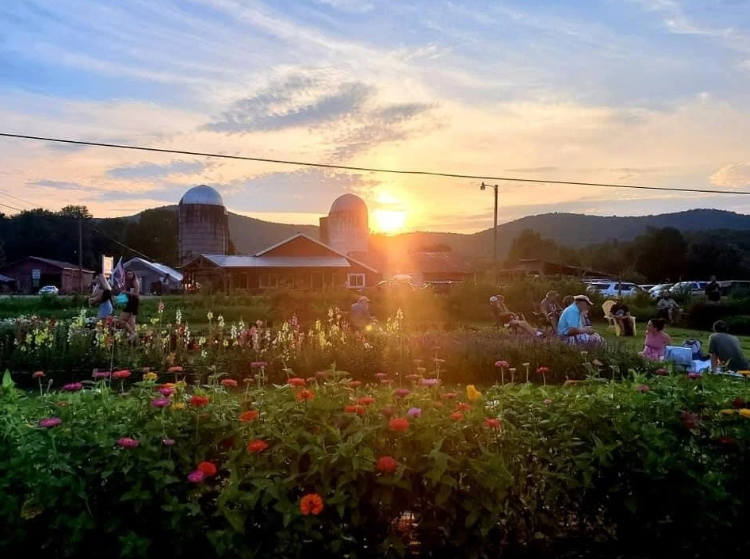 Sunset over a farm with silos, flowers, and distant mountains.