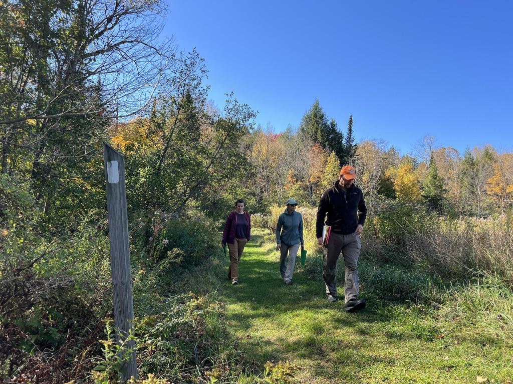 Three hikers walk along a grassy trail through autumn woods under a clear blue sky.