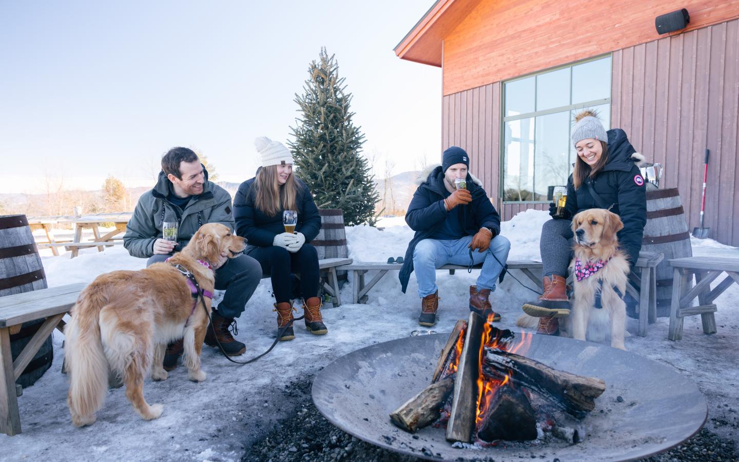 People and dogs sitting by a fire pit in a snowy outdoor setting.
