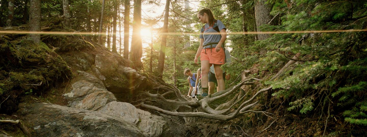 Child balancing on tree roots in a sunlit forest.