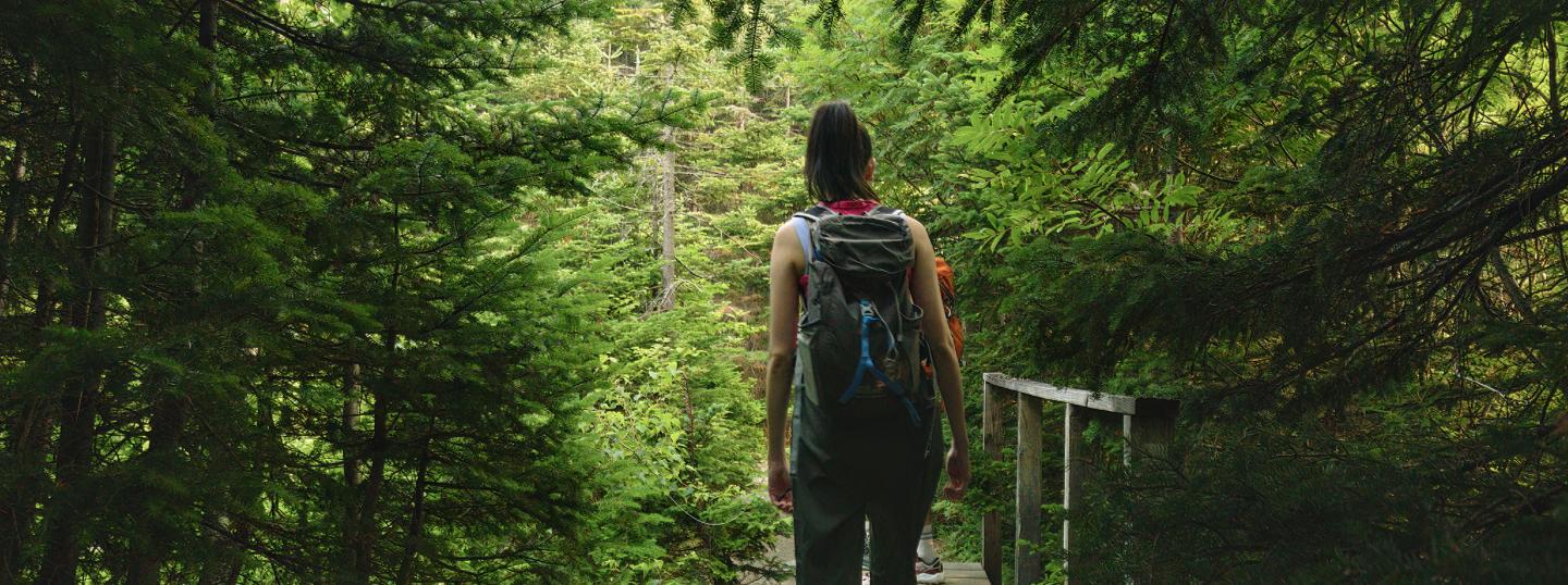 Person with backpack walking through a lush forest path.