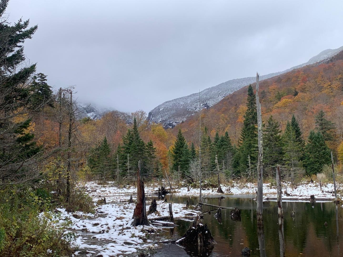 Snow-dusted autumn forest beside a calm stream, with mountains under cloudy skies