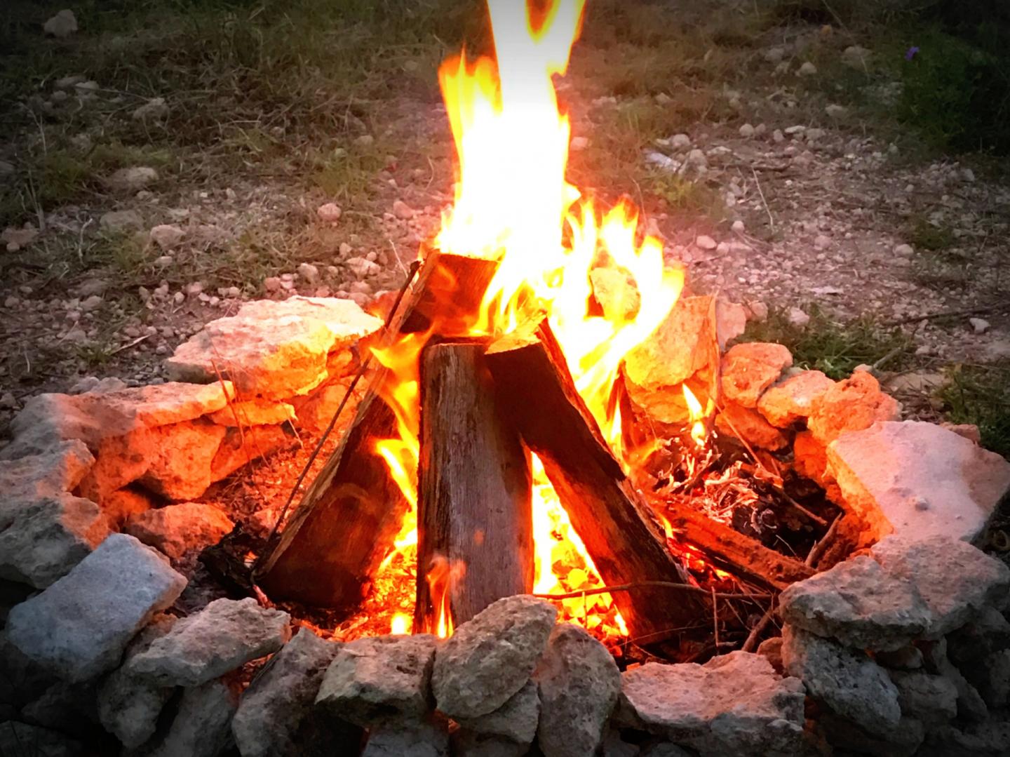 Campfire burning with logs and surrounded by stones.