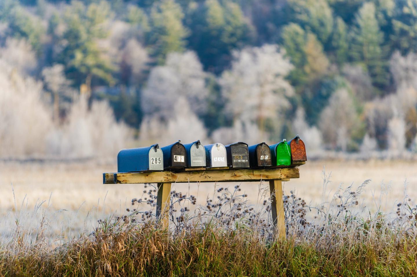 Row of colorful rural mailboxes on wooden posts in a frosty field.