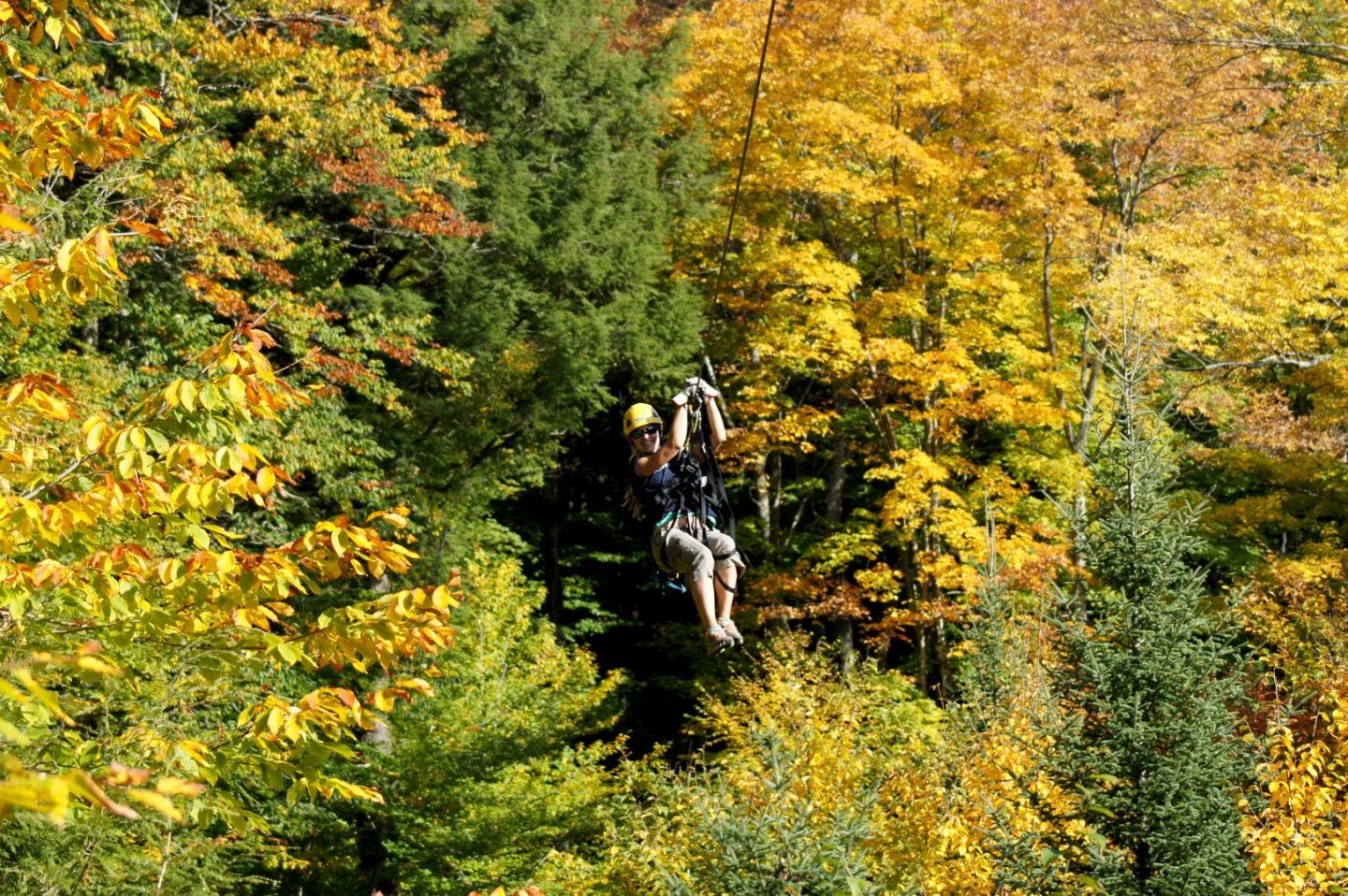 Mountain biker riding through dense forest with autumn foliage
