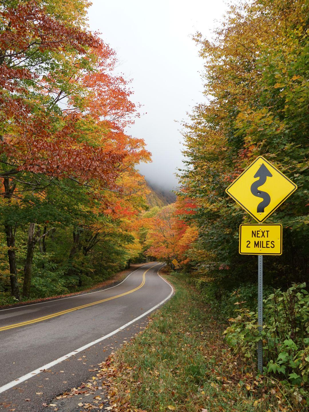Winding road through autumn forest with a yellow curve warning sign