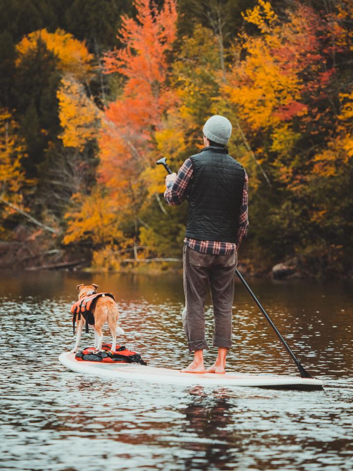 Man paddleboarding with a small dog on a calm autumn lake.
